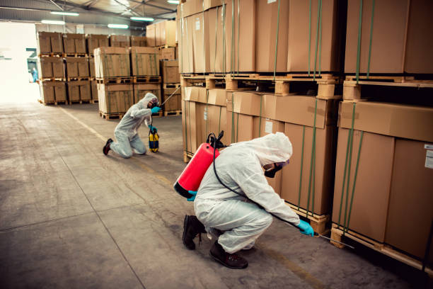 Best Affordable Pest Control Services  in Kettering, OH