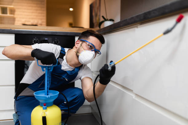 Best Emergency Pest Control  in Kettering, OH