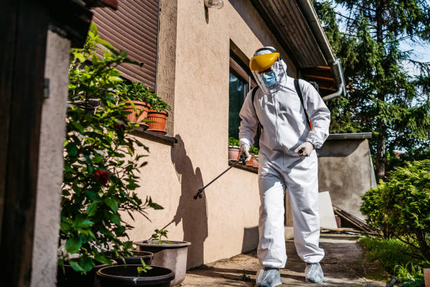 Best Ant Control Services  in Kettering, OH