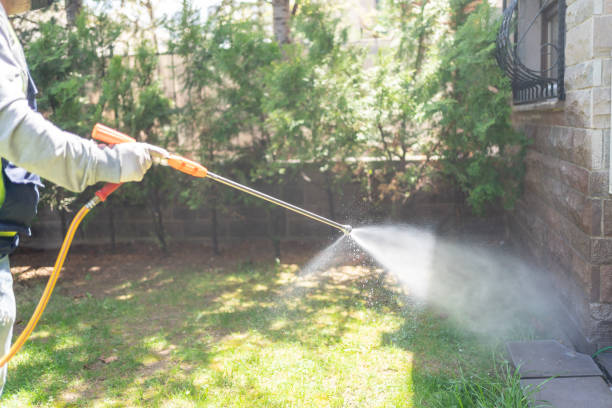 Best Flea Control Services  in Kettering, OH